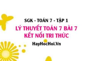 Lý thuyết Toán 7 Bài 7: Tập Hợp Các Số Thực - Lý Thuyết và Bài Tập (Kết Nối Tri Thức)